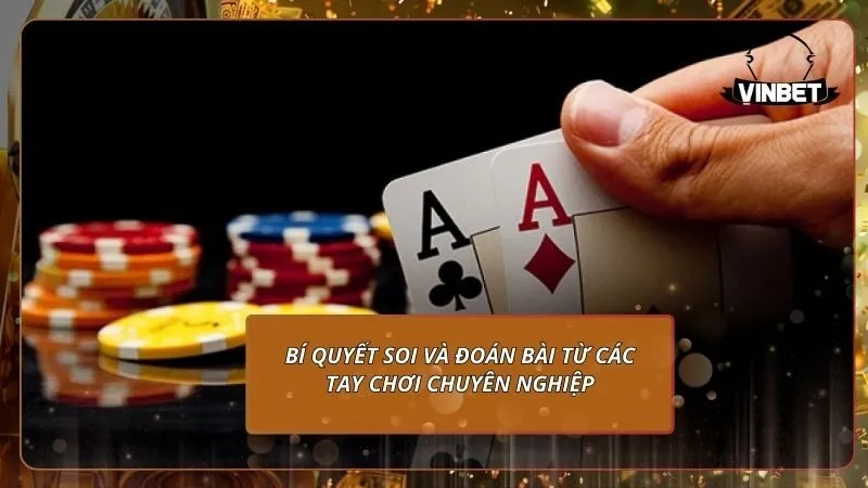 Bí quyết soi và đoán bài từ các tay chơi chuyên nghiệp